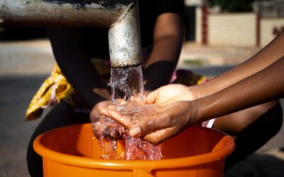 Gauteng’s Water Crisis: Immediate Action Needed for Businesses